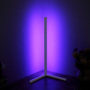 Modern LED Corner Floor Lamp